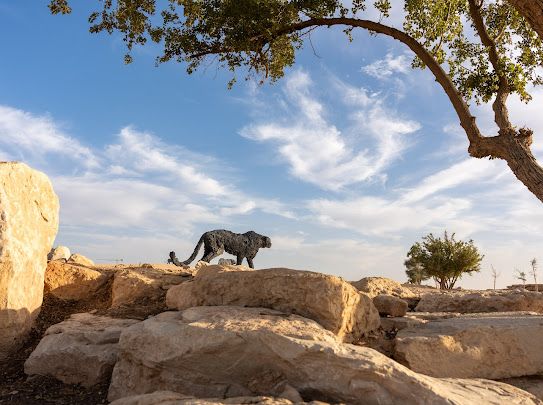 “الرياض آرت” بالتعاون مع السفارة الإيطالية يعلن عن اكتمال توزيع منحوتات  الفنان العالمي دافيدي ريفالتا في الرياض