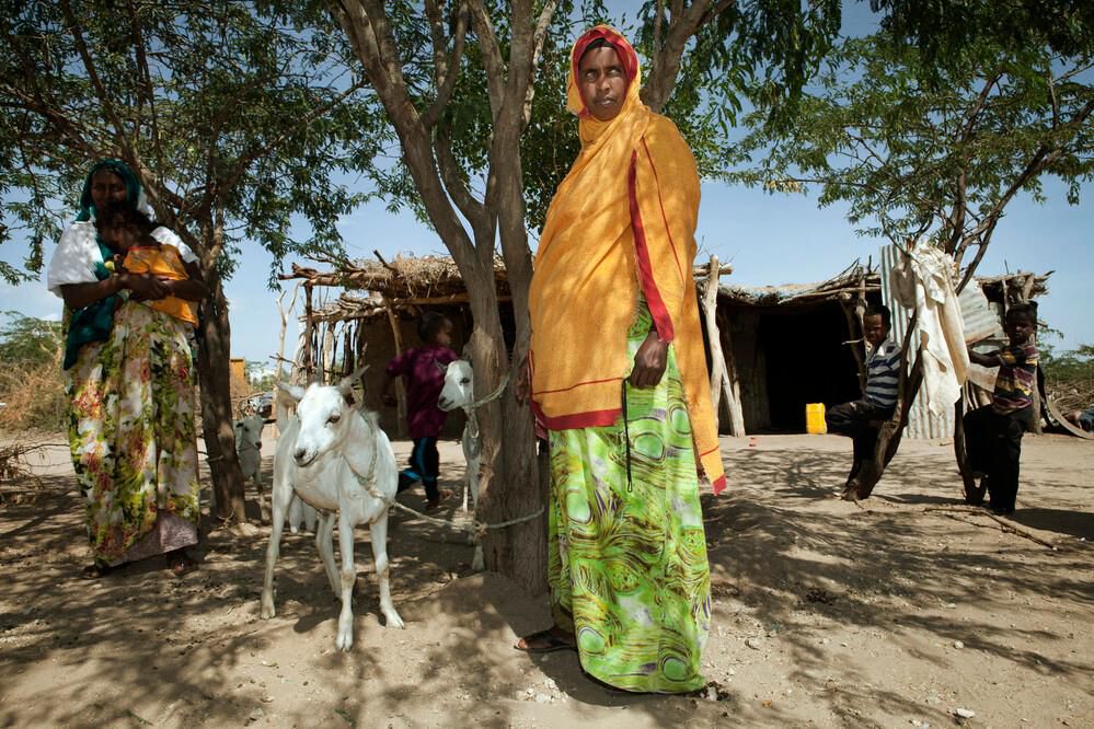 الصندوق الدولي للتنمية الزراعية يدعو إلى تقديم مقترحات لتحدي الابتكار لوصول النساء في الصومال إلى الأسواق 2025