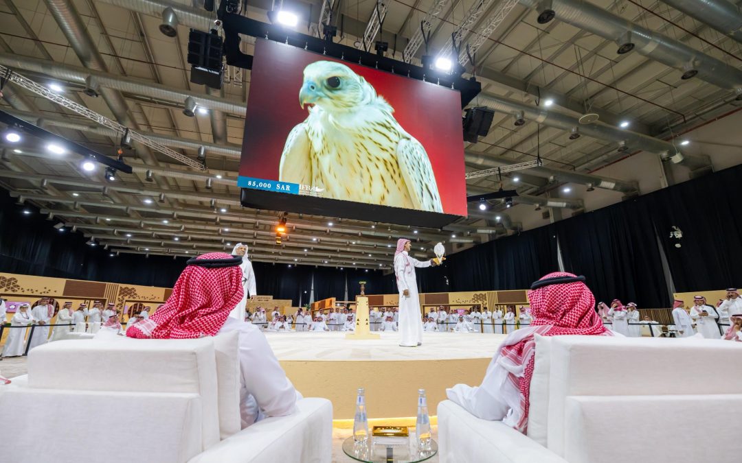 بيع أغلى صقر حتى الآن في المزاد الدولي لمزارع إنتاج الصقور 2025 بـ151 ألف ريال