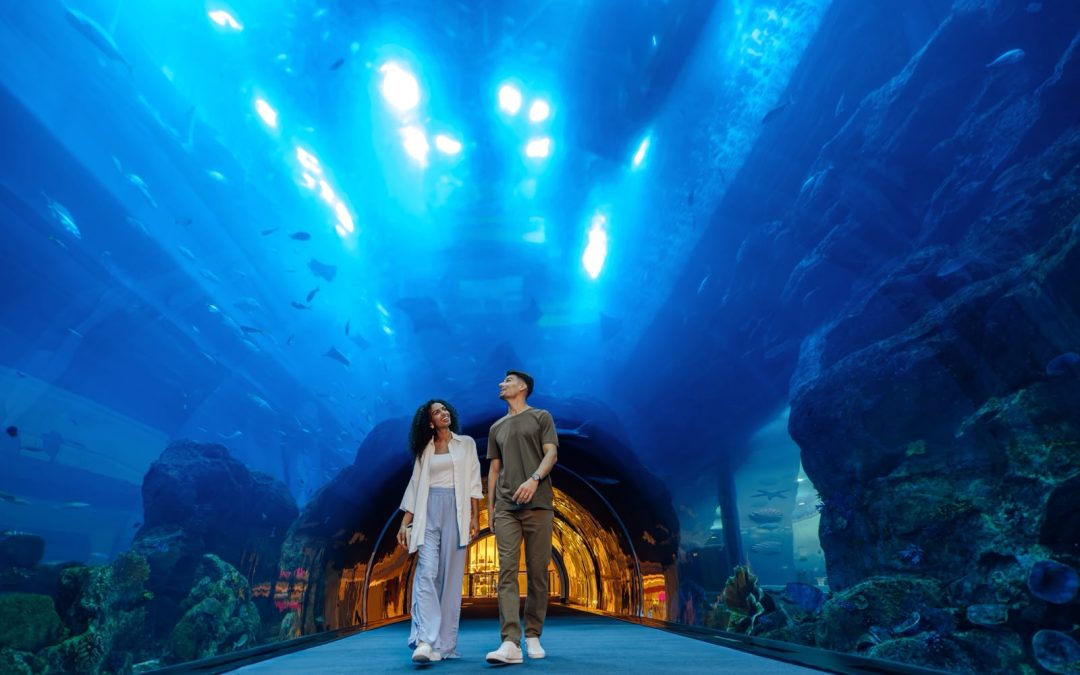 From Summer Camps to Family Adventures: Making the Most of Dubai Days Together