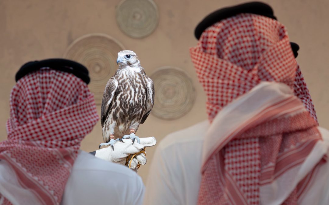 خبر الانطلاق – يوم 5 أغسطس *المركز الوطني للصقور يفتتح أولى فعالياته “المزاد الدولي لمزارع إنتاج الصقور 2026”