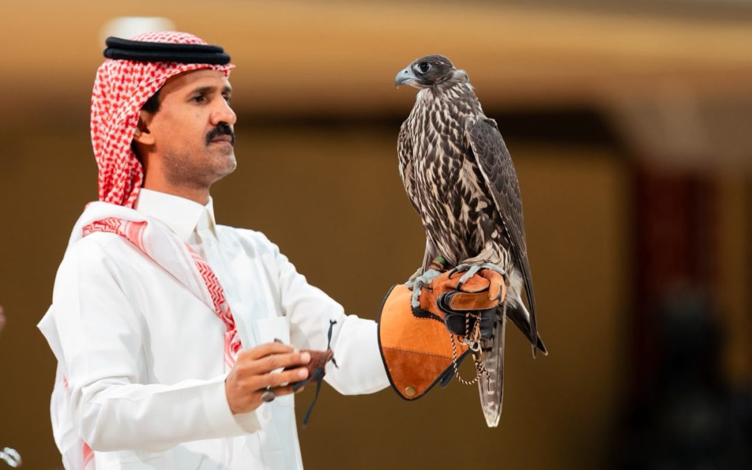 من الجير إلى الشاهين.. خصائص تميز أنواع الصقور في المزاد الدولي لمزارع إنتاج الصقور