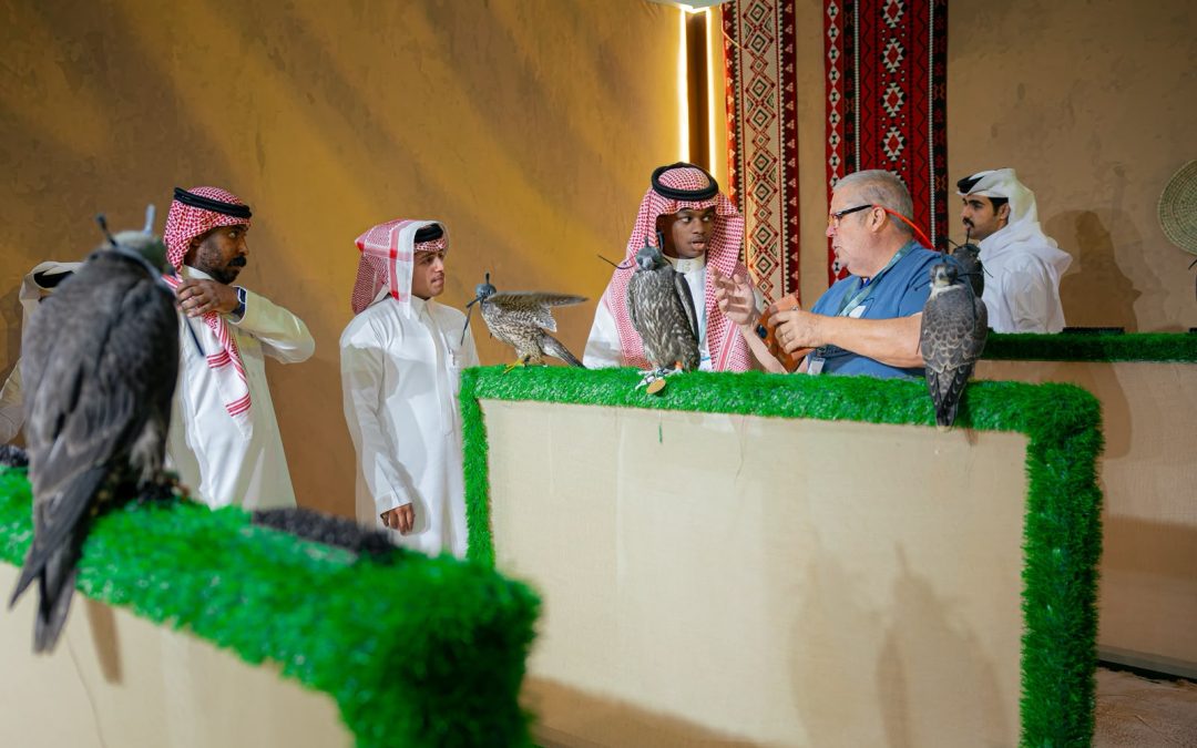 صقار بريطاني: صقور الصيد والإنتاج تخضع لمعايير مختلفة في المزاد الدولي لمزارع إنتاج الصقور